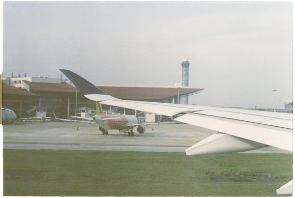 Wie kann man beim Camping die lokale Flora und Fauna schÃ¼tzen?